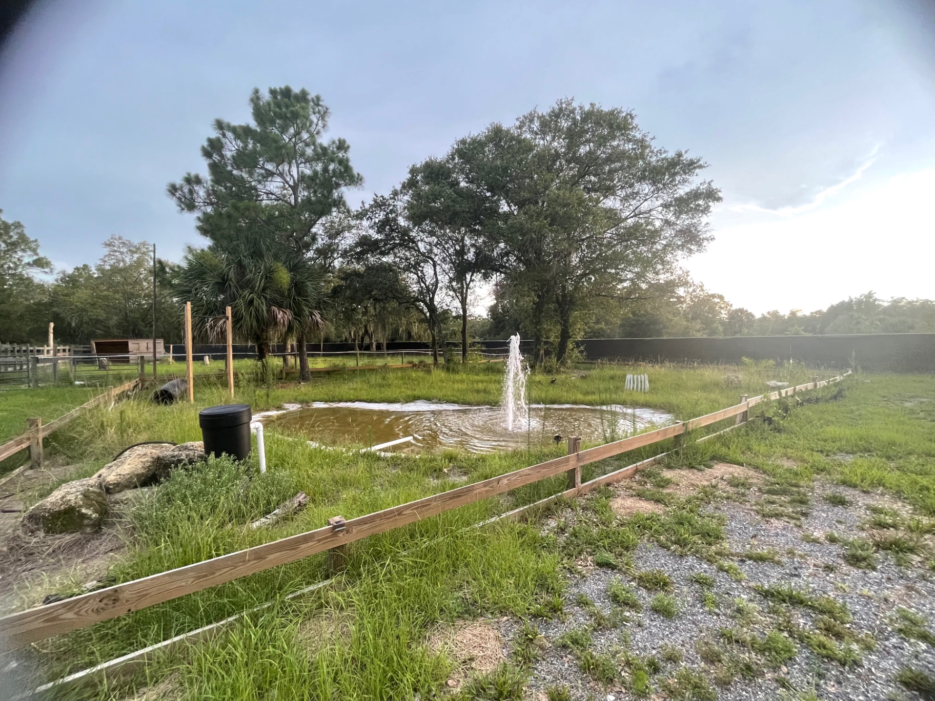 Pond with a tall fountain
